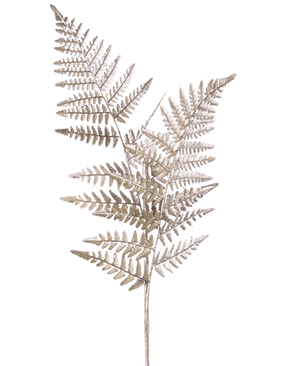 En enkel sparris konstgjord gren 125 cm silver, med ljusbruna torkade ormbunksliknande stjälkar med fina, fjäderlika blad, mot en vanlig vit bakgrund.