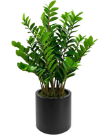 De Kunstplant Zamioculcas kant en klaar in zwarte pot 120 cm heeft weelderige, rechtopstaande stengels met glanzend groene bladeren, gepresenteerd in een ronde matzwarte pot tegen een effen witte achtergrond.