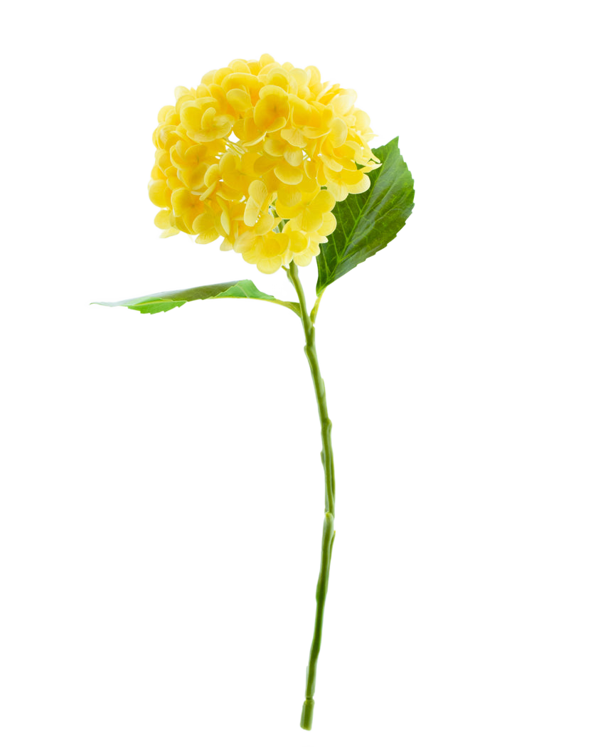 Den konstgjorda blomman Charlotte Hydrangea Real Touch Yellow 49 cm har en enda gul hortensia med gröna blad och en lång stjälk, mot en vanlig vit bakgrund.