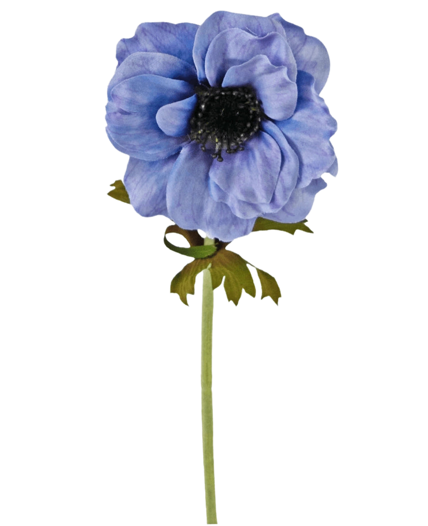 En enda konstgjord blomsteranemon 35 cm blå med volangblå kronblad, ett mörkt hjärta och en grön stjälk med några blad mot vit bakgrund.