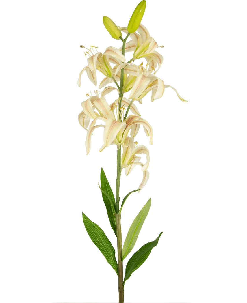 En enda lång Artificiell Flower Martagon Lily 78 cm rosa med rosa liljablommor och gröna blad mot en vanlig vit bakgrund; vissa blommor är öppna medan två knoppar på toppen förblir stängda.
