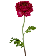 Den konstgjorda blomman Ranunculus 51 cm mörkrosa är en konstgjord mörkrosa ranunculus med skiktade kronblad, en lång grön stjälk och djupt flikiga gröna blad, isolerade på en vit bakgrund.