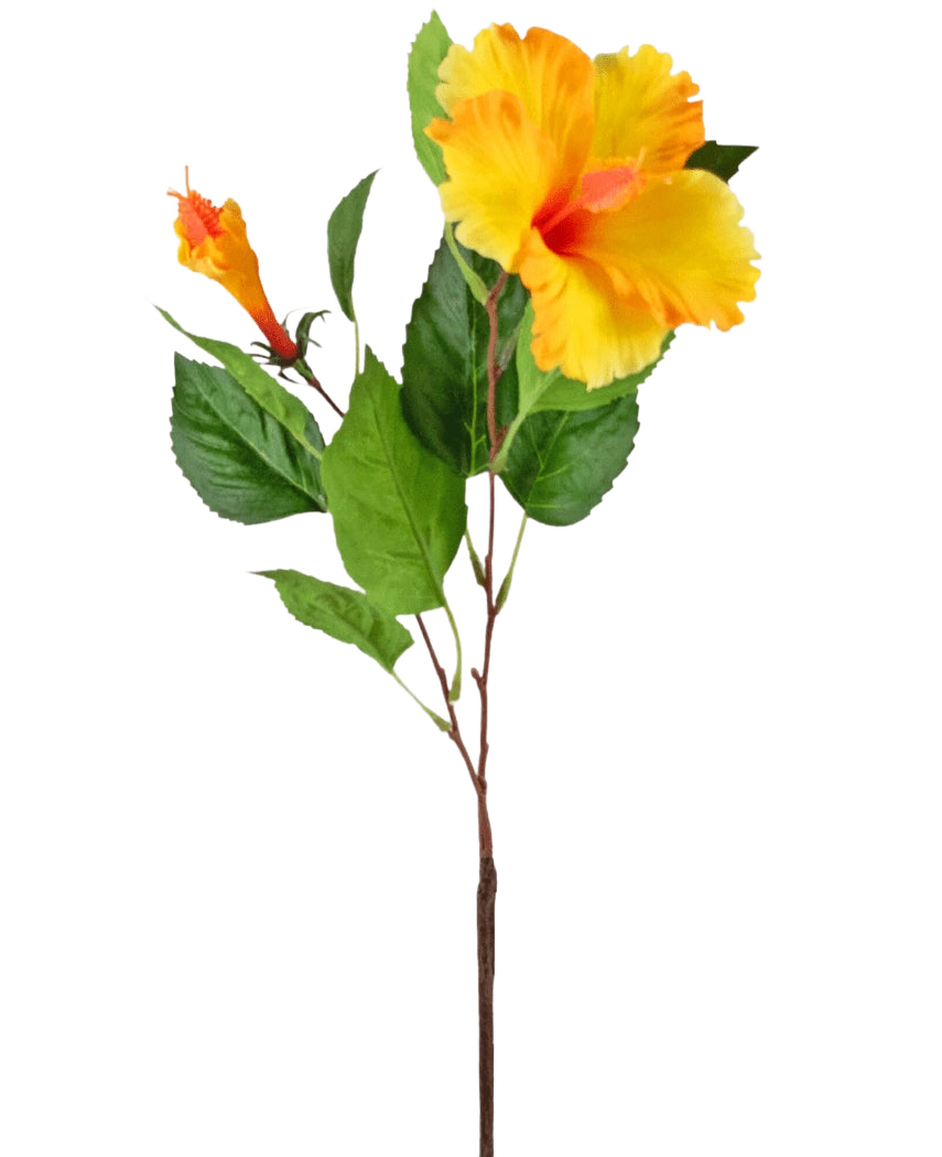 Den konstgjorda blomman Hibiscus 64 cm gul har en enda stjälk med levande gula hibiskusblommor och gröna blad, avbildade mot en vit bakgrund.