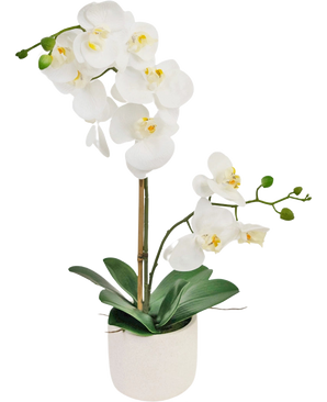 Artificiell orkidé Real Touch 60 cm vit har fina vita blommor, gröna knoppar och breda gröna blad, stödda av en tunn påle i en liten vit kruka.