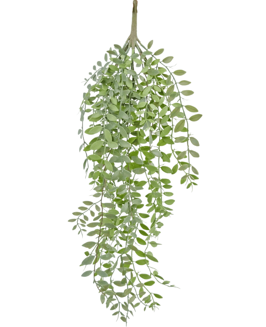 Den konstgjorda hängande växten Pumila/Eucalyptus 76 cm har gröna, smala blad och smala stjälkar som faller ner mot en vanlig vit bakgrund.