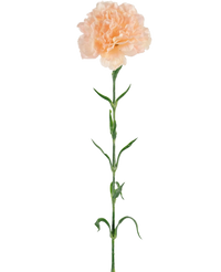 Konstgjord blomma Nejlika 69 cm persika