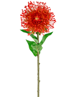 Artificiell blomma Protea 73 cm röd har livfulla röda kronblad, gröna blad och en lång smal stjälk, vilket gör den till en slående konstgjord blomma som tillför varaktig skönhet till alla utrymmen.
