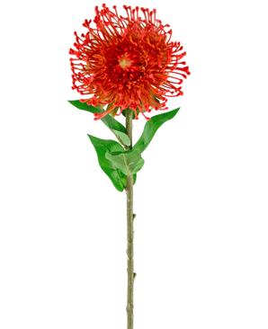 Artificiell blomma Protea 73 cm röd har livfulla röda kronblad, gröna blad och en lång smal stjälk, vilket gör den till en slående konstgjord blomma som tillför varaktig skönhet till alla utrymmen.