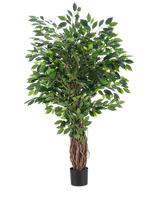 Den konstgjorda växten Ficus Tropical Liana 150 cm är ett högt konstgjort träd med en flätad stam och täta gröna löv, utställd i en liten svart kruka mot en vanlig vit bakgrund.