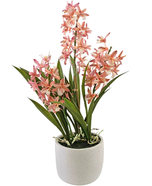 Den artificiella Cymbidium 58 cm rosa växten har höga gröna blad och klasar av rosa och vita orkidéblommor, arrangerade i en enkel vit keramikkruka, perfekt för att lysa upp alla utrymmen.