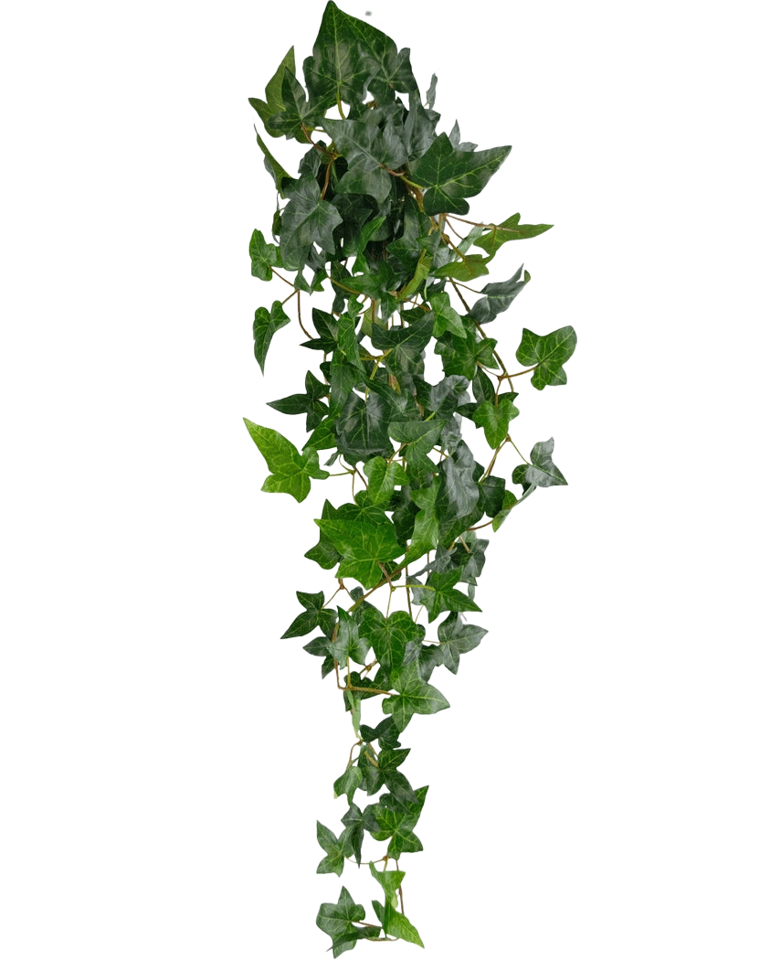 Den konstgjorda hängande växten Ivy Boston 100 cm grön har frodiga gröna spetsiga blad på långa, tunna stjälkar, vilket skapar en realistisk eftersläpande murgrönaeffekt mot en vanlig vit bakgrund.