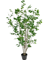 Den konstgjorda växten Ficus 150 cm är ett konstgjort träd i en kruka med flera smala bruna stammar och frodiga gröna blad mot en vanlig vit bakgrund.