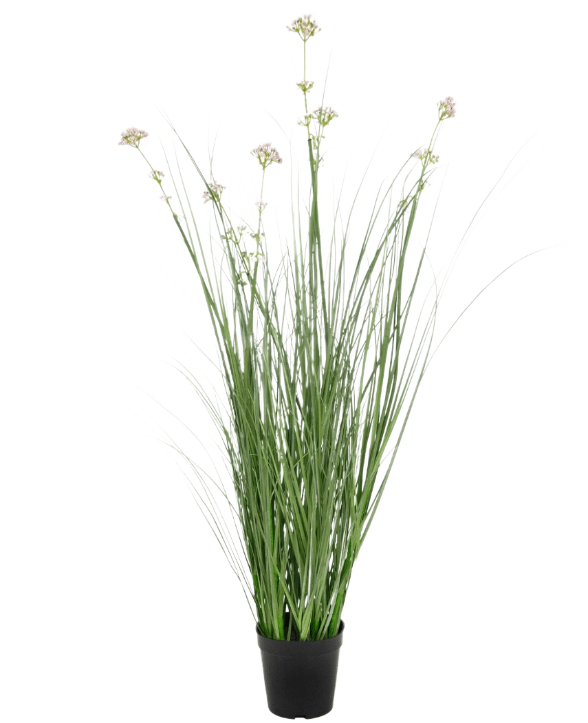 Konstgräs Purjolök Blomma Lök Gräs Pot 90 cm brandskyddsmedel har långa, tunna gröna blad och bleka blomklasar i en svart kruka, mot en vanlig vit bakgrund.