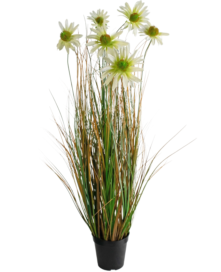 Konstgräs Chrysanthemum Onion Pot 90cm brandskyddsmedel är en konstgjord växt i en kruka med långa gröna och bruna gräsliknande blad, toppad med vita prästkrageblommor med gult hjärta.