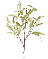 Den konstgjorda grenen Eucalyptus Niphophila 108 cm grön har en enda brun stam med flera tunna grenar, var och en dekorerad med avlånga, ljusgröna blad, mot en vanlig vit bakgrund.