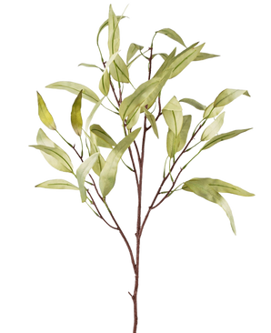 Den konstgjorda grenen Eucalyptus Niphophila 108 cm grön har en enda brun stam med flera tunna grenar, var och en dekorerad med avlånga, ljusgröna blad, mot en vanlig vit bakgrund.