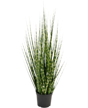 Konstgräs Zebra lökgräsgren är en 56 cm brandskyddande konstväxt med långsmala gröna blad och ljusgröna ränder, som står upprätt i en liten svart kruka mot en vit bakgrund.