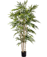 Den konstgjorda växten Bambu 180 cm har smala ljusbruna stjälkar och rikligt med långa gröna blad i en liten svart kruka, mot en vanlig vit bakgrund.