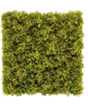 De Kunsthaag Nordic Mos 50x50 cm UV is een vierkant paneel dat dicht bedekt is met levendig groen mos. Het creëert een weelderige groene muur en voegt luxe textuur toe aan je interieur tegen een witte achtergrond.