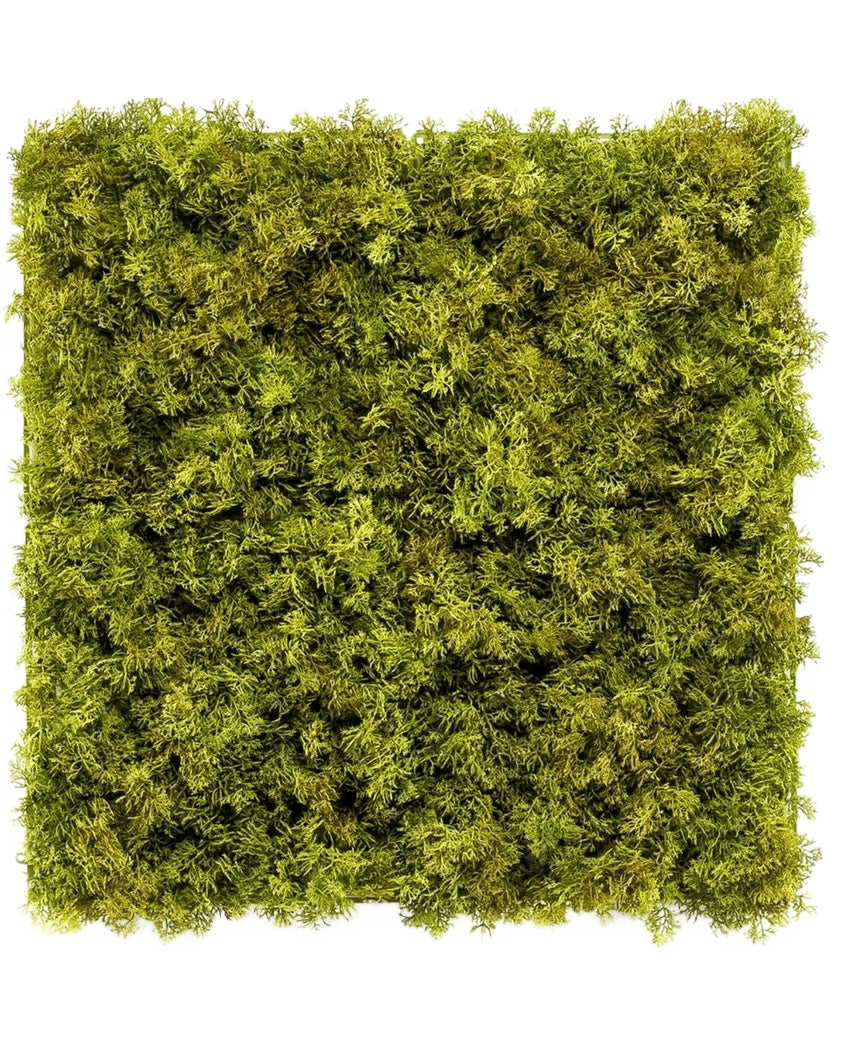 Artificiell Hedge Nordic Moss 50x50 cm UV är en fyrkantig panel tätt täckt med frodig grön mossa på en vit bakgrund, vilket skapar en strukturerad, naturlig look som är perfekt för eleganta interiörer.