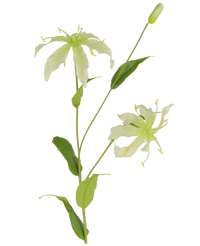 Konstgjord blomma Gloriosa 81 cm vit