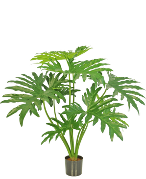 Den konstgjorda växten Philodendron 80 cm är en konstgjord växt med stora, delade gröna blad i en liten svart kruka, avbildad mot en vanlig vit bakgrund.