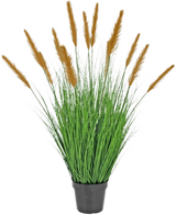 De Kunst Grasplant Struisriet 100 cm brandvertragend staat in een zwarte pot met hoge, grasachtige bladeren en lange bruine pluimen, die groene decoratie toevoegen tegen een effen witte achtergrond.