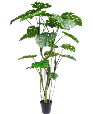 Den konstgjorda växten Monstera 210 cm är en hög krukväxt med flera långa stjälkar och stora, glänsande, kluvna gröna blad som liknar en riktig monstera. Visas här mot en vanlig vit bakgrund.