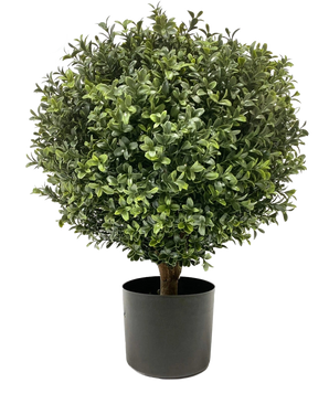 Artificiell buxbom på stam UV 40 cm är en rund, buskig grön form med täta blad i en enkel svart kruka, mot en vanlig vit bakgrund.