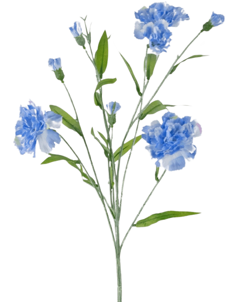 Konstblommans nejlikaklas 70 cm blå har en delikat stjälk med flera ljusblå nejlikablommor och gröna blad, mot en vanlig vit bakgrund.