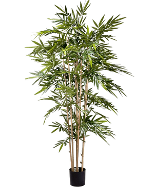 Den konstgjorda växten Bambu 180 cm har smala ljusbruna stjälkar och rikligt med långa gröna blad i en liten svart kruka, mot en vanlig vit bakgrund.