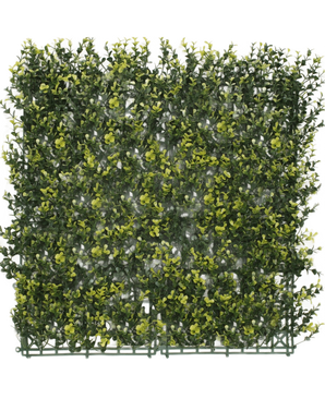 Artificiell häck buxbom gul 50x50 cm UV är en fyrkantig panel av tätt konstgjordt grönt bladverk med gula löv, designat för att likna en häck eller trädgårdsvägg, mot en vanlig vit bakgrund.