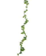 Den konstgjorda vinplantan Monstera 182 cm är en lång artificiell lian med gröna, naturligt formade blad, som hänger vertikalt mot en vanlig ljus bakgrund.