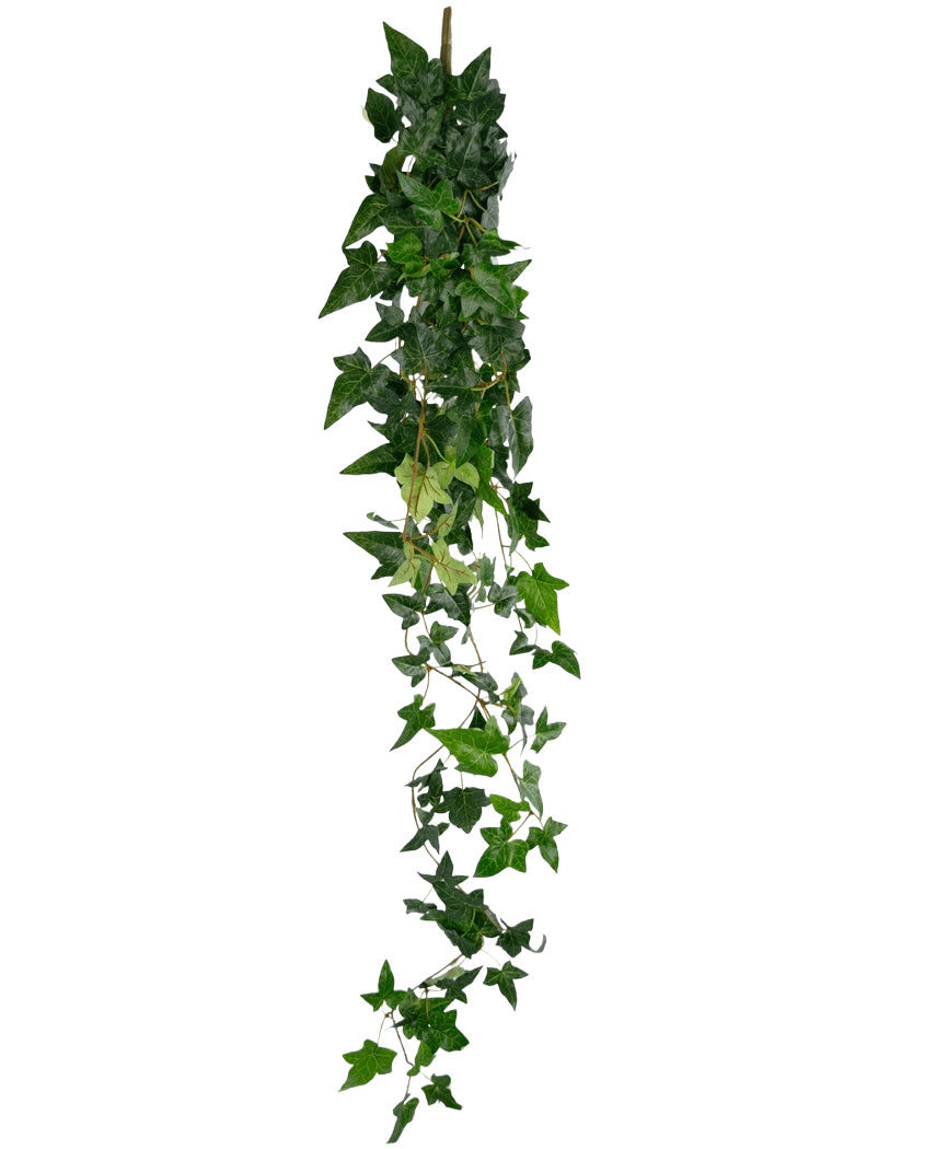 Den konstgjorda hängande växten Ivy Boston 120 cm grön har en lång sträng av konstgjord grön murgröna med täta, spetsiga blad som faller ner mot en vanlig vit bakgrund.