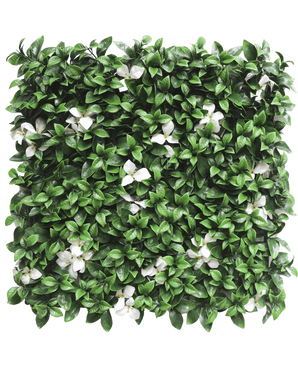 De Kunsthaag Gardenia met witte bloem 50x50 cm UV is een vierkant paneel met dichte groene bladeren en verspreide witte bloemen tegen een witte achtergrond.
