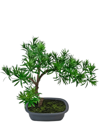 Konstgjord växt Bonsai Podocarpus 40 cm