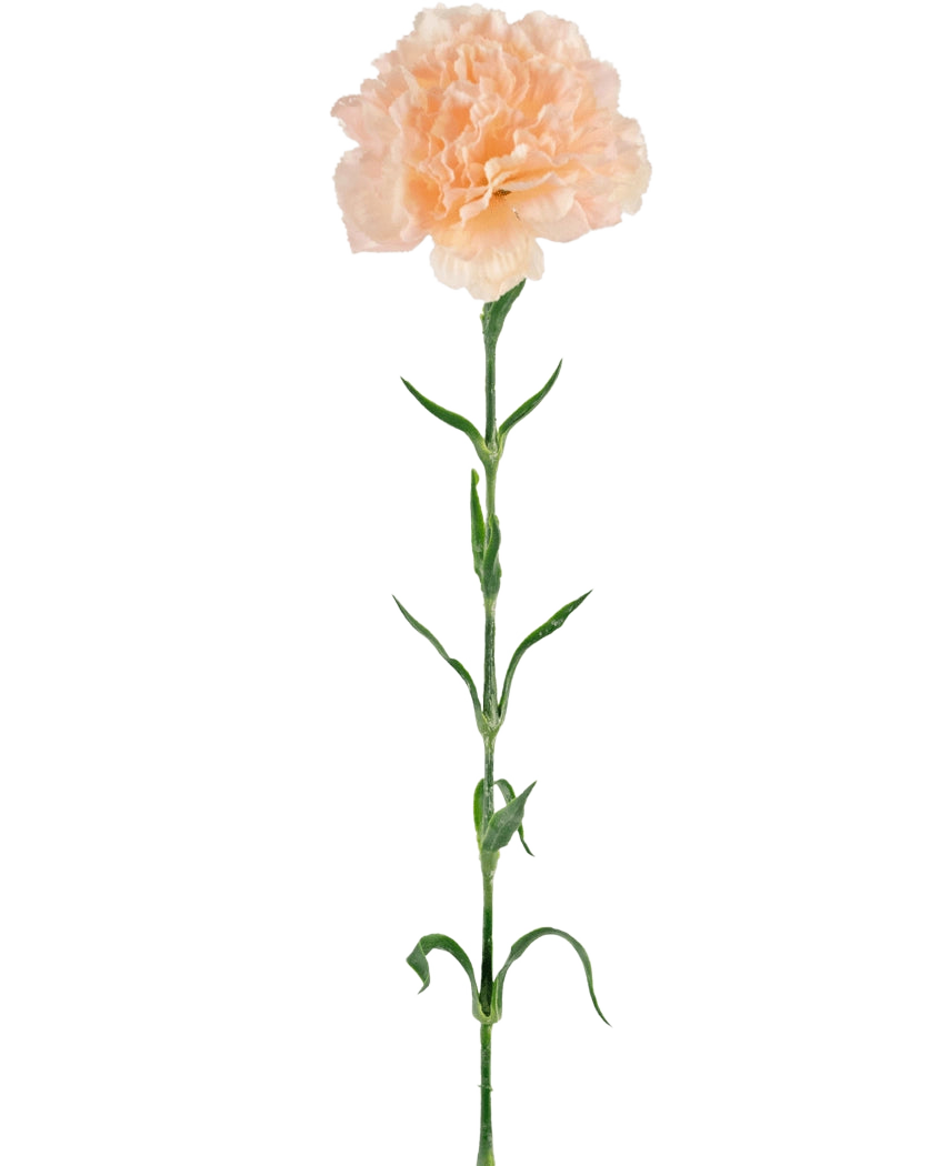 Konstgjord blomma Nejlika 69 cm persika
