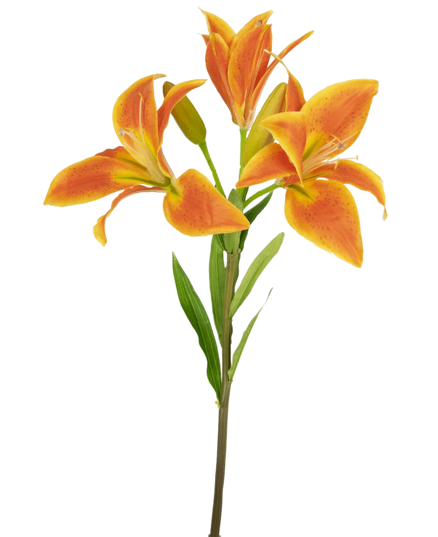 Den asiatiska konstgjorda liljan 66 cm orange har en enda stjälk med tre öppna orange liljor, en oöppnad knopp och gröna blad mot en ljus bakgrund.