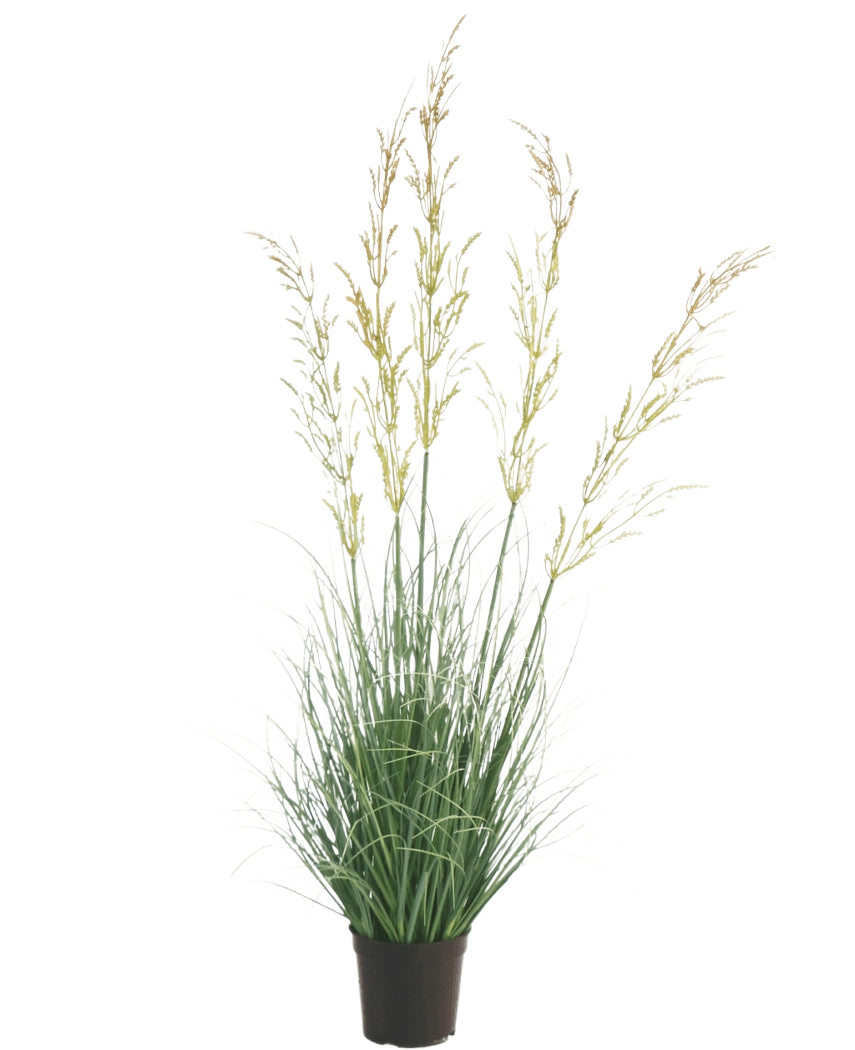 Konstgräsväxten Wheat 90 cm brandskyddsmedel, med sina smala gröna blad och långa gulaktiga blompiggar, sticker ut vackert mot en vit bakgrund - perfekt bland konstgjorda växter för hemmet och trädgården.
