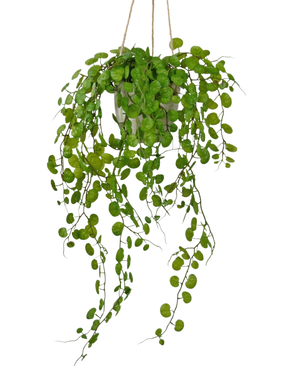 Den konstgjorda hängande växten Suckulent i en 43 cm cementkruka har långa, hängande gröna blad med runda former och hängs med rep mot vit bakgrund.