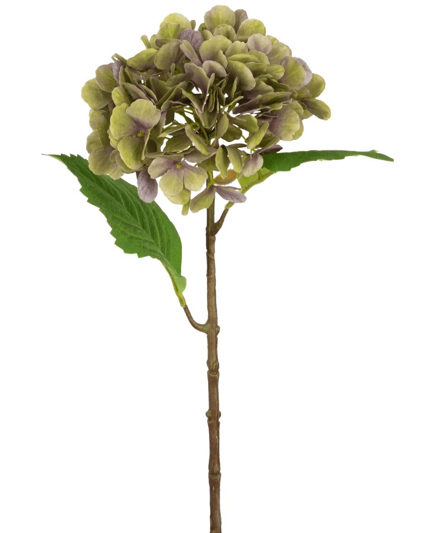 Artificiell Hydrangea Deluxe 55 cm grön/lila har en enda artificiell hortensiastam med gröna och lila kronblad och två gröna blad på en vanlig vit bakgrund.