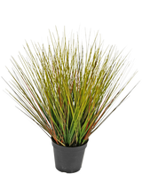 De Kunst Grasplant Onion 50 cm brandvertragend heeft hoge, dunne, grasachtige groene en geelachtige bladeren met roodbruine vleugjes, dicht op elkaar en uitwaaierend naar buiten in een zwarte plastic pot.