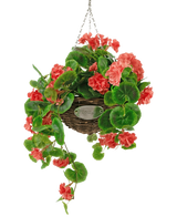 Artificiell Begonia Pink in Basket UV 70cm är en hängande flätad korg med frodiga gröna blad och livfulla korallrosa begoniablommor, upphängd i en silverkedja mot en vit bakgrund.