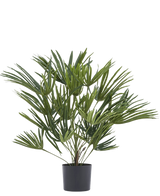 Artificiell växt Baby Palm Fan i kruka UV 50 cm har långa, smala gröna blad i en snygg kruka - perfekt för att sätta en elegant touch till din inredning eller att kombinera med dekorativa krukor för extra känsla.