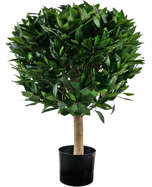 Den konstgjorda laurelväxten UV d55 cm har en rak stam och ett tätt, runt kluster av glänsande gröna blad, presenterade i en svart behållare mot en vit bakgrund.