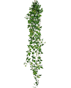 Den konstgjorda hängande växten Ivy Boston 180 cm grön har långa, hängande gröna stjälkar med spetsiga blad som faller ner mot en vanlig vit bakgrund.