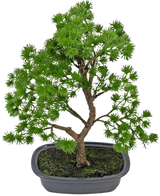 Den konstgjorda växten Bonsai Juniper 30 cm har täta ljusgröna blad och en vriden stam, i en grund grå kruka med mörk jord, mot en vanlig vit bakgrund.
