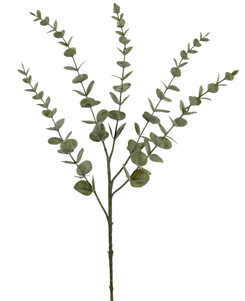 Den konstgjorda blomman Eucalyptus Yugali 71 cm är en enda konstgjord stam med fem grenar och små, runda gröna blad, avbildad isolerad på en vit bakgrund.