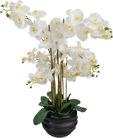 Artificiell orkidé Real Touch 85 cm vit har stora vita orkidéblommor med gult hjärta och glänsande gröna blad, vackert arrangerade i en svart keramikkruka.