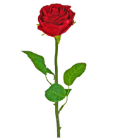 Artificiell blomros Classic 54 cm röd är en enda röd konstgjord ros med grön stjälk och blad, mot en vanlig vit bakgrund.